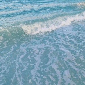 Meet your Posher, Raquel